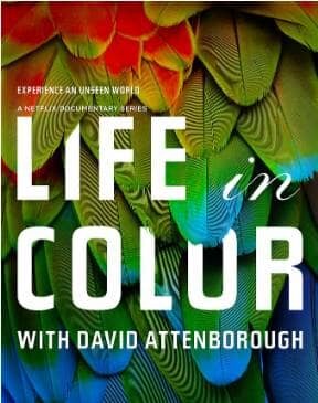 مستند «زندگی در رنگ» دیوید آتنبرو از امروز پخش میشود