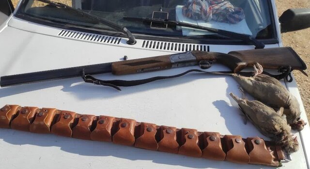 عکس تزئینی است افزایش کشف سلاحهای غیرمجاز از شکارچیان در خراسان شمالی