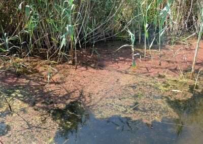 فرهنگ "منابع طبیعی" باید به "معارف عمومی" تبدیل شود