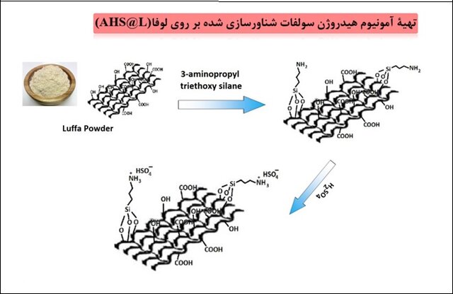 دستیابی محققان به فرمولاسیون نانو کاتالیزور جدید برای واکنشهای آلی