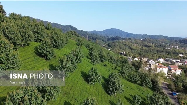 فرهنگ "منابع طبیعی" باید به "معارف عمومی" تبدیل شود