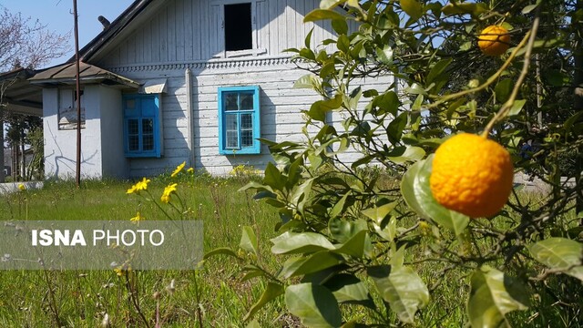 مرگ خاموش "اداره خاویار"؛ گنجینهای که باید به عنوان میراثی ماندگار حفظ شود