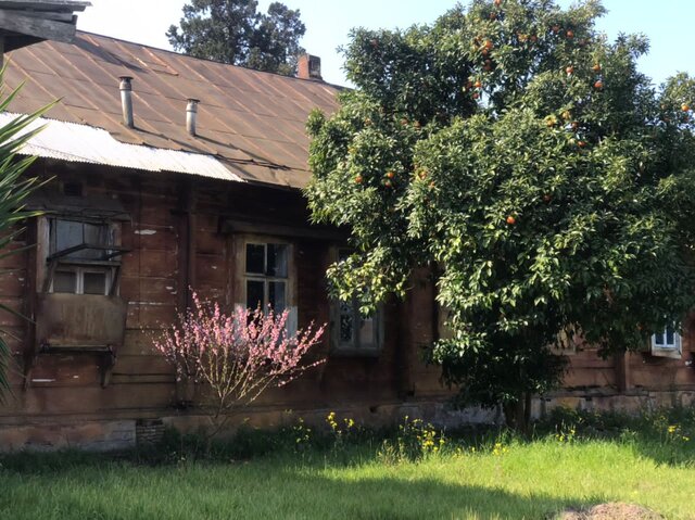 مرگ خاموش "اداره خاویار"؛ گنجینهای که باید به عنوان میراثی ماندگار حفظ شود