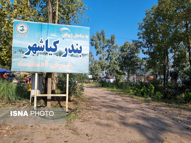 پیادهروی روی تالاب بوجاق با درختانی که از عصر یخبندان جان سالم به در بردهاند