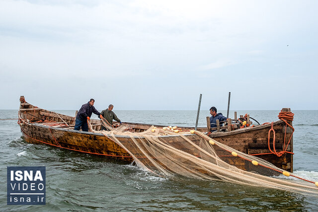 ویدیو/ زنگها برای صیادان به صدا در میآیند ویدیو/ زنگها برای صیادان به صدا در میآیند