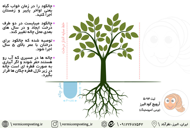 آیا خاک به کود نیاز دارد؟