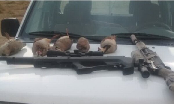 عکس تزئینی دستگیری شکارچیان و صیادان پرندگان زینتی در لرستان