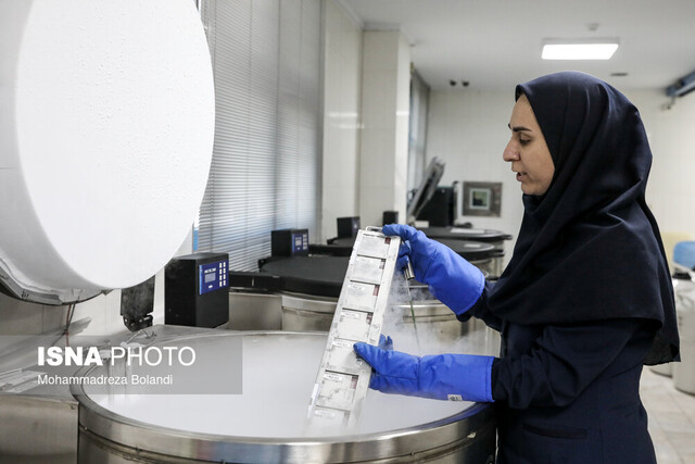 انجماد «زبالههای درمانگر» در اولین دقایق زندگی