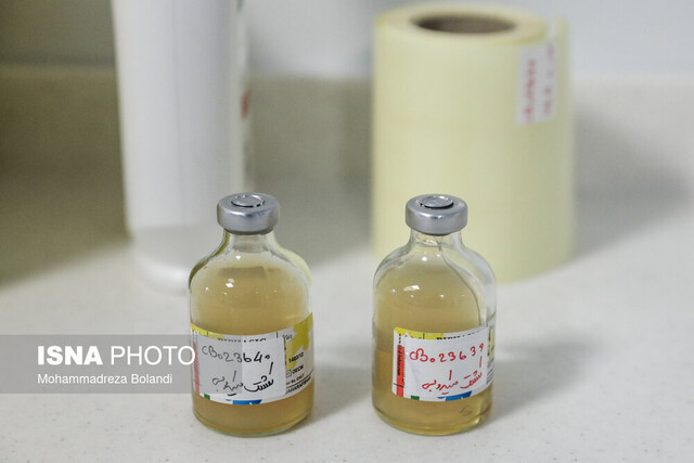 انجماد «زبالههای درمانگر» در اولین دقایق زندگی