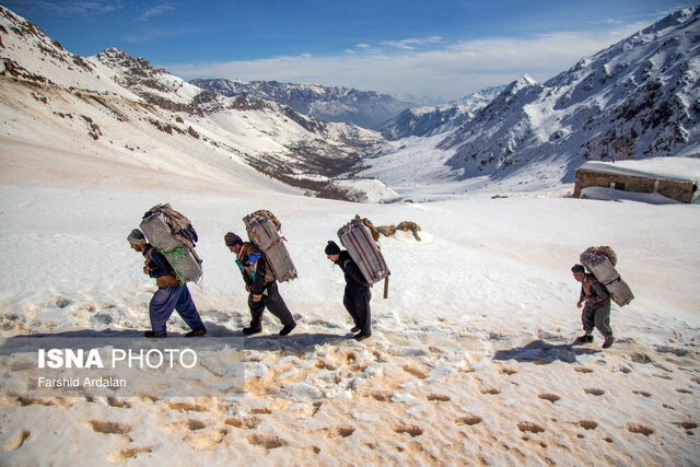 قانون ساماندهی کولهبری ظرف یکی دو ماه آینده ابلاغ میشود  قانون ساماندهی کولهبری ظرف یکی دو ماه آینده ابلاغ میشود