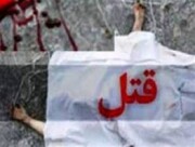 جزئیاتی دیگر از تیراندازی صبح امروز خیابان سعدی