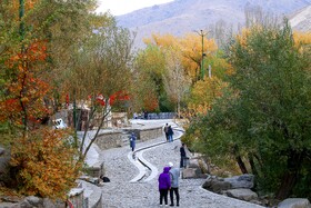 پاییز در گنجنامه