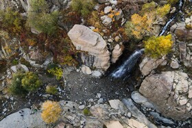 پاییز در گنجنامه