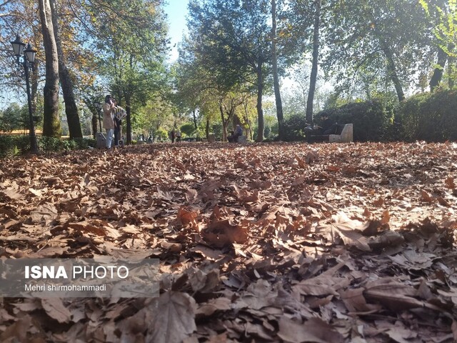 رد پای پاییز در باغ تاریخی "محتشم" رشت