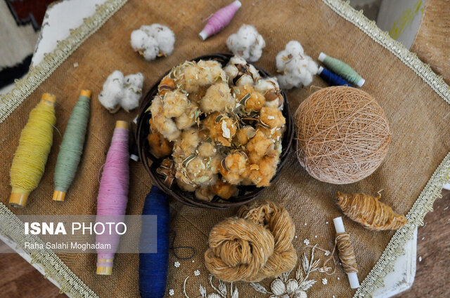 قداست ملّه بر جان و دل خراسانیها