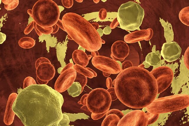 کاهش ۹۴ درصدی کلسترول بد ژنتیکی با یک داروی جدید کاهش ۹۴ درصدی کلسترول بد ژنتیکی با یک داروی جدید