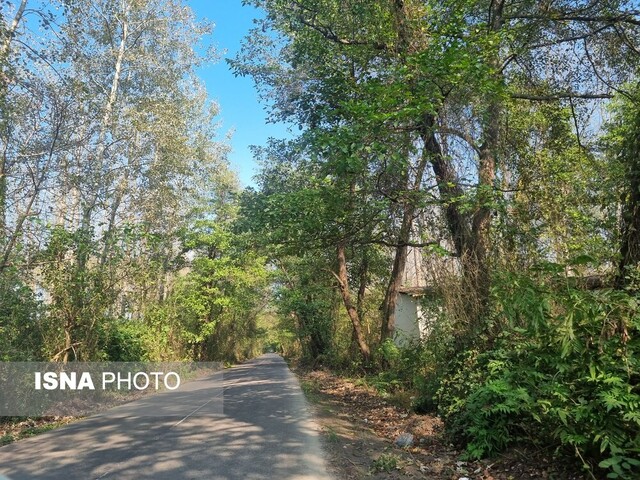 گذر از تونل سبز "صفرابسته"