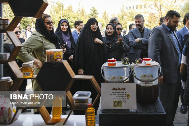 مشاغل خانگی منجر به تحکیم بنیان خانواده می‌شود