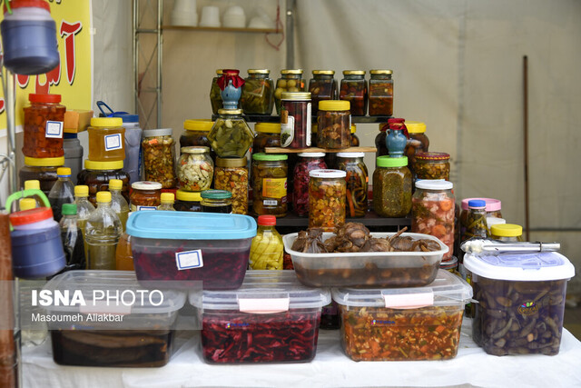مشاغل خانگی منجر به تحکیم بنیان خانواده می‌شود