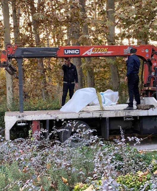 کشف یک شیء تازه در کاخ سعدآباد + عکس