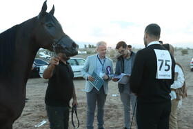 سی و چهارمین دور جشنواره  زیبایی اسب