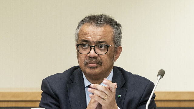 رئیس سازمان بهداشت جهانی: قتل عام در غزه را متوقف کنید رئیس سازمان بهداشت جهانی: قتل عام در غزه را متوقف کنید