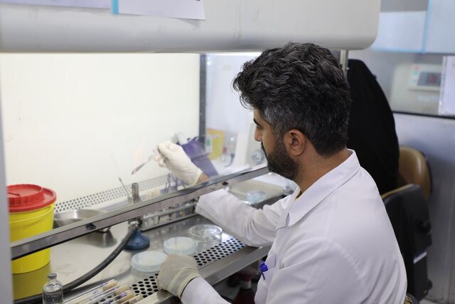 کلکسیون قارچهای بیماریزا در انستیتوپاستور ایران / جزییات فعالیت بخش قارچشناسی