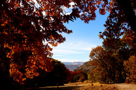 پاییز هزار رنگ در «تنگ گنجه‌ای» - یاسوج