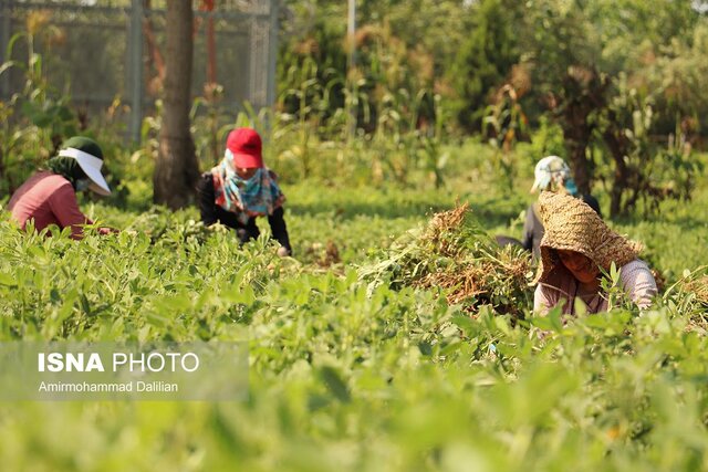 آستانه اشرفیه مقصد گردشگری مذهبی گیلان باشد