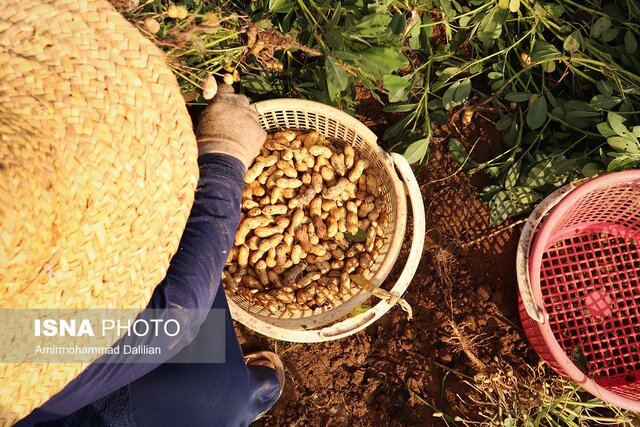 آستانه اشرفیه مقصد گردشگری مذهبی گیلان باشد