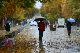 بارش باران پاییزی - همدان