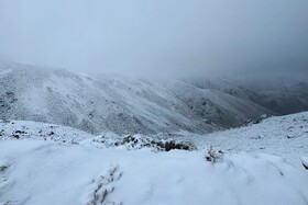 بارش اولین برف پاییزی - همدان