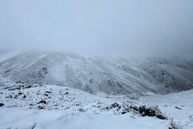 بارش اولین برف پاییزی - همدان