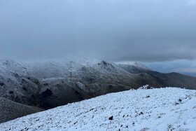 بارش اولین برف پاییزی - همدان