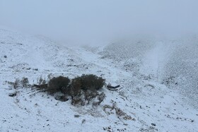 بارش اولین برف پاییزی - همدان
