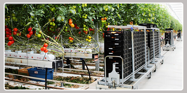 هزینه ساخت گلخانه با میلگرد + مصالح و تجهیزات لازم