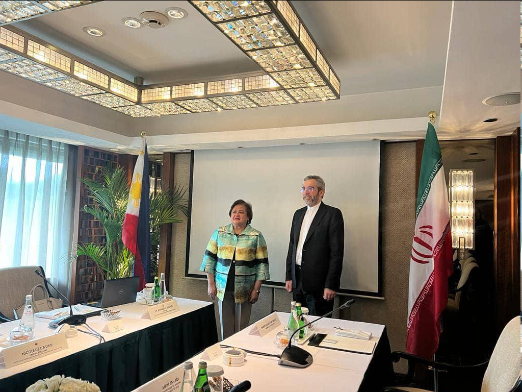 باقری: اقدام رژیم صهیونیستی در غزه چیزی جز نسلکشی و جنایت علیه بشریت نیست