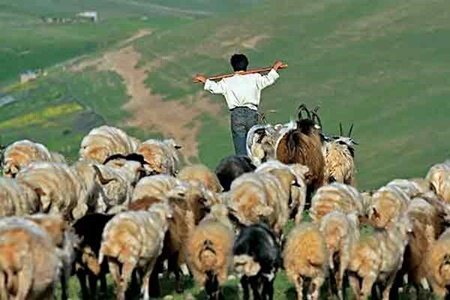 عکس آرشیوی است. جشن چوپانی در پاییز