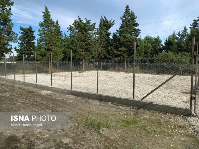 سایت نگهداری سگهای بلاصاحب در آستارا راهاندازی شد