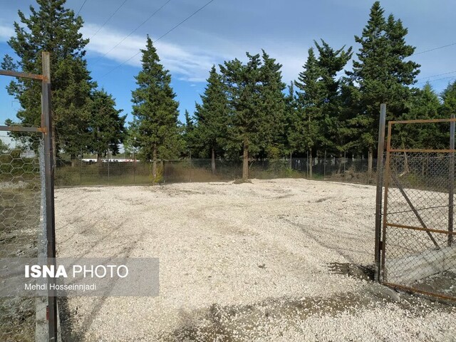 سایت نگهداری سگهای بلاصاحب در آستارا راهاندازی شد