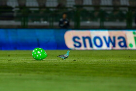 هفته یازدهم لیگ برتر فوتبال؛ ذوبآهن -استقلال