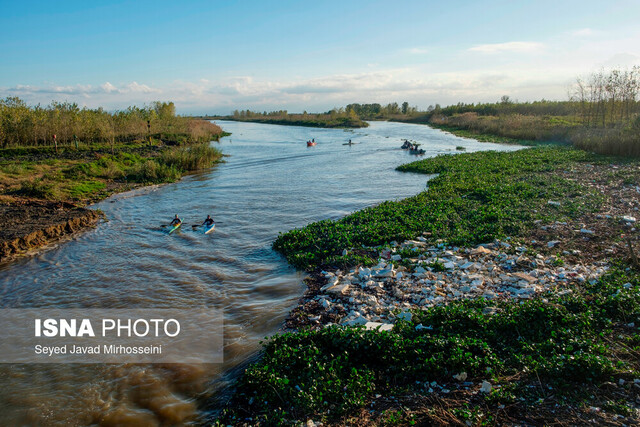 تالاب بینالمللی انزلی؛ اکوسیستم کم نظیر و زیستگاه مهم پرندگان در خاورمیانه