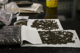 آزمایشگاه مرجع سازمان غذا و دارو