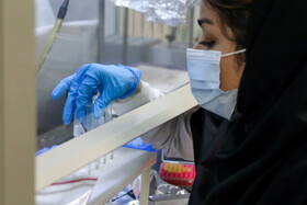 آزمایشگاه مرجع سازمان غذا و دارو