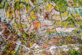 پاییز هزار رنگ در روستای «شیت»