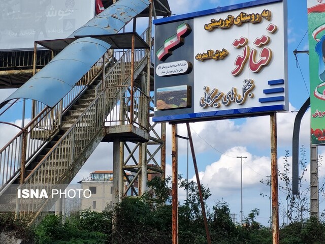 وقتی پاییز در جنگل "فتاتو" تو را به عصر یخبندان میبرد