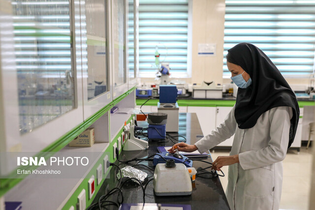 یارانه ۵۰ درصدی خدمات آزمایشگاهی تابستانه برای دانشگاهیان یارانه ۵۰ درصدی خدمات آزمایشگاهی تابستانه برای دانشگاهیان