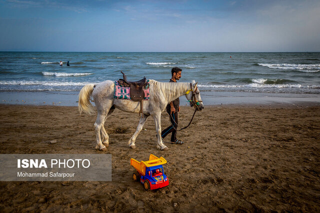 اهمیت سرمایهگذاری علمی برای درک بهتر اکوسیستمهای دریایی