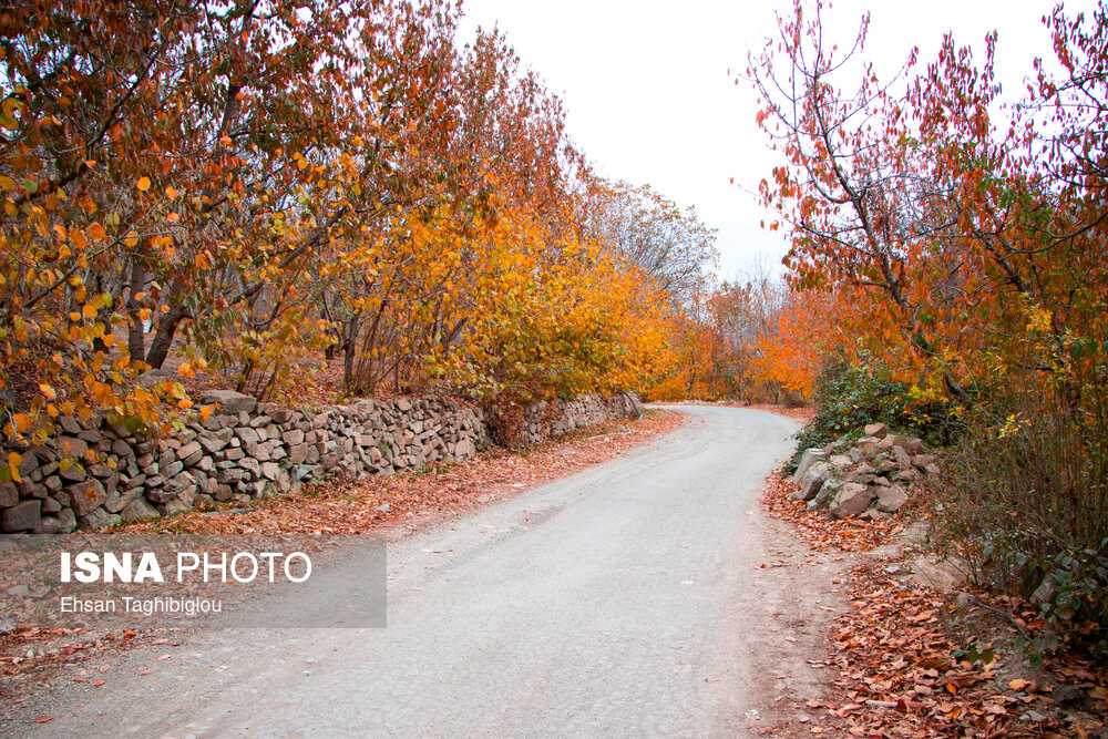 پاییز هزار رنگ در روستای «شیت»