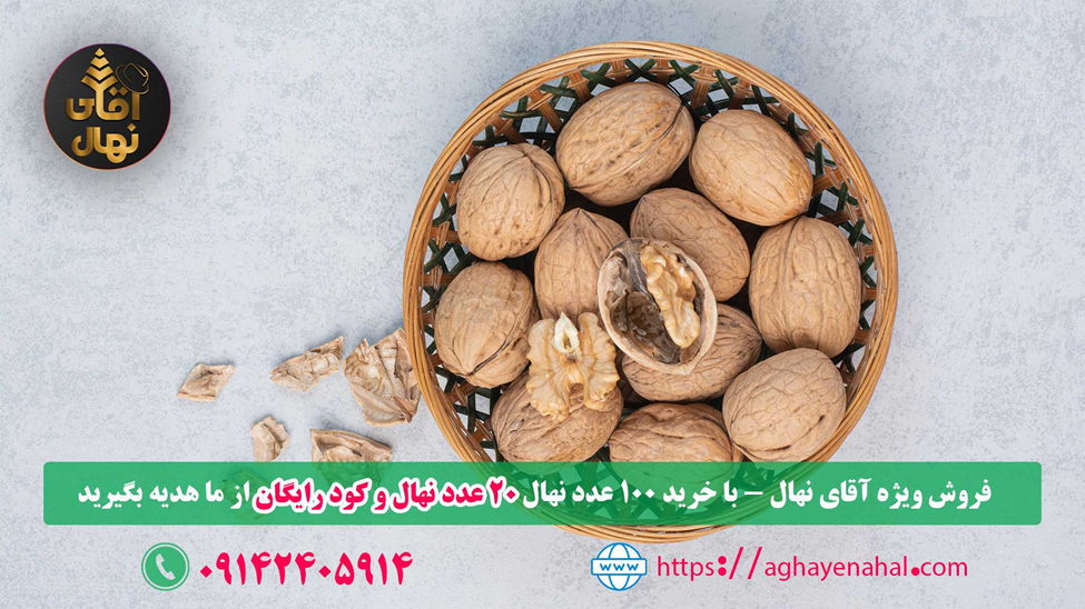 با خرید هر۱۰۰ نهال ۲۰ اصله نهال و یک پک کود رایگان از آقای نهال دریافت کنید